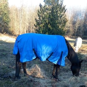 Meet your Posher, Wendy